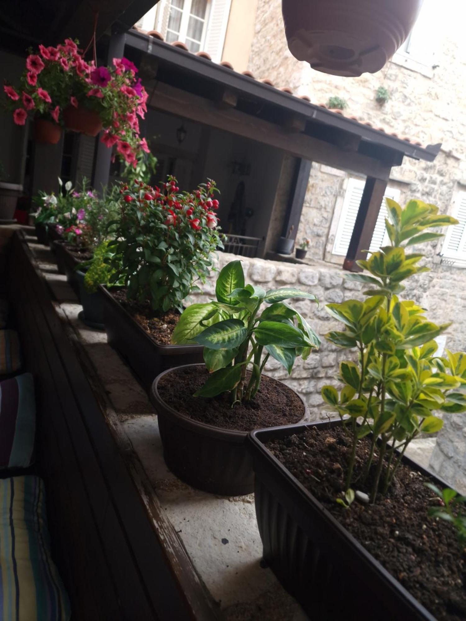 Rooms Dana Old Town Budva Eksteriør billede