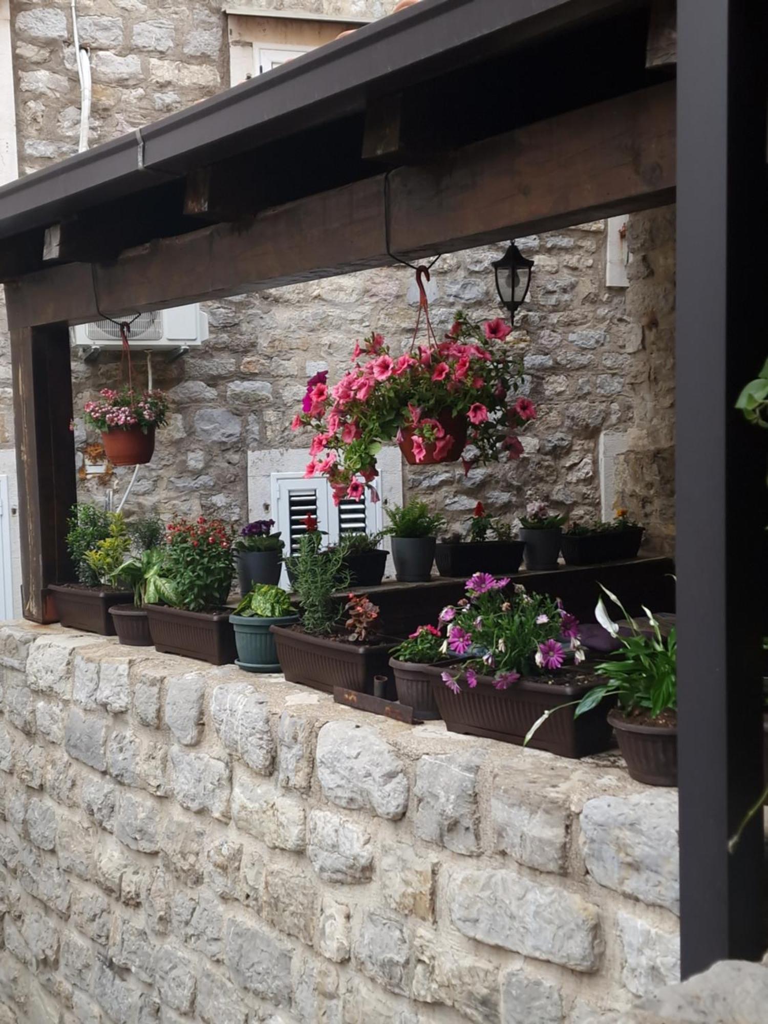 Rooms Dana Old Town Budva Eksteriør billede